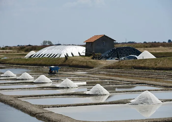 Huttopia 누아르무티에 앙 릴